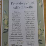 phoca_thumb_m_karneval 5 Fotogalerie